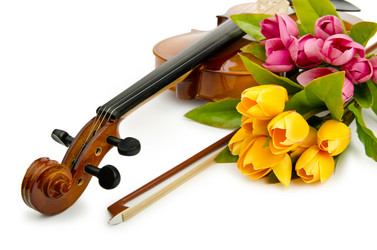 Similar image 1113821