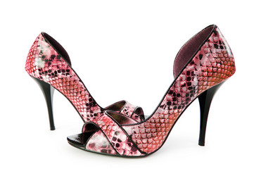 Similar image 1113841