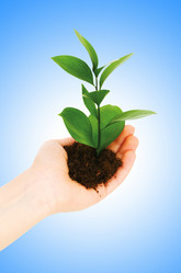 Similar image 1113877