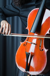 Similar image 1113938