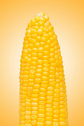 Similar image 1113972