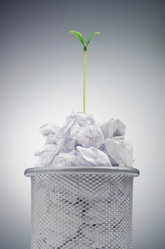 Similar image 1114135