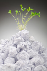 Similar image 1114138