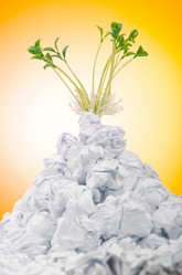 Similar image 1114140