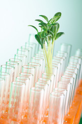 Similar image 1114185