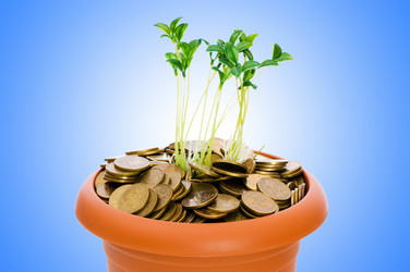 Similar image 1114237