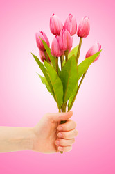 Similar image 1114283