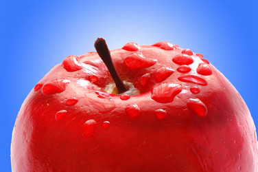 Similar image 1114419