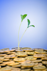 Similar image 1114546