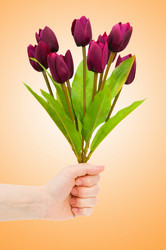 Similar image 1114551