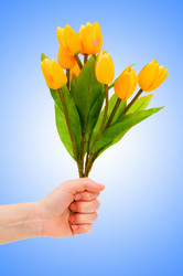 Similar image 1114564