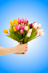 Similar image 1114592