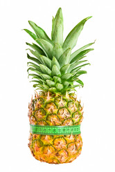 Similar image 1114876