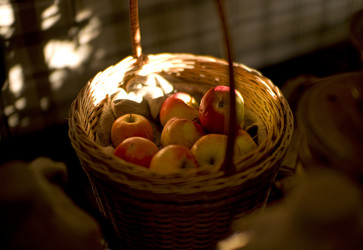 Similar image 1114932