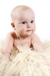 Similar image 1114971