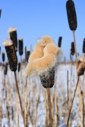 Similar image 1114974