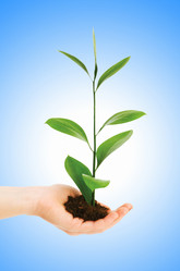 Similar image 1114996