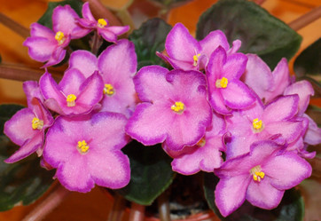 Similar image 1115026