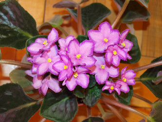 Similar image 1115027