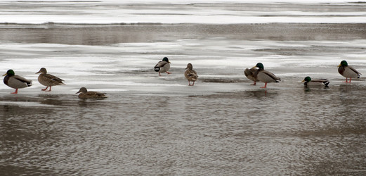 Similar image 1115048