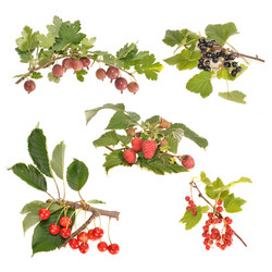 Similar image 1115058