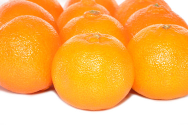 Similar image 1115066