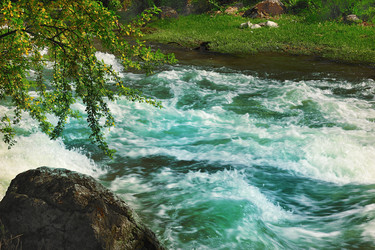 Similar image 1115076