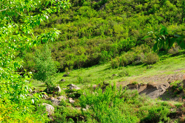 Similar image 1115078