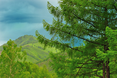 Similar image 1115081