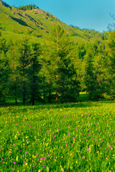 Similar image 1115092