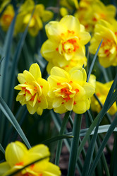 Similar image 1115123