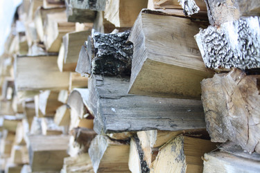 Similar image 1115191