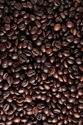 Similar image 1115208