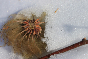 Similar image 1115210