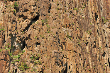 Similar image 1115273