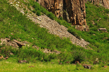 Similar image 1115274