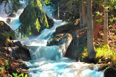 Similar image 1115275