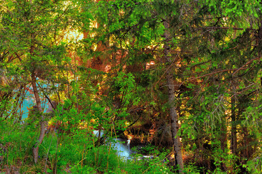 Similar image 1115279