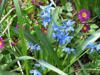 Similar image 1115304