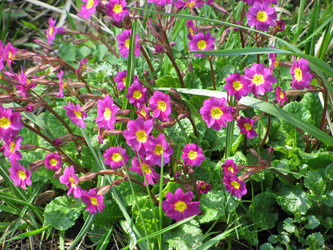 Similar image 1115409