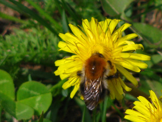 Similar image 1115410