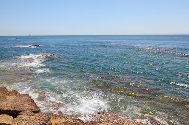 Similar image 1115935