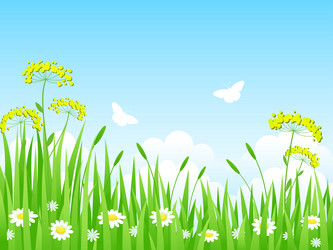 Similar image 1116096