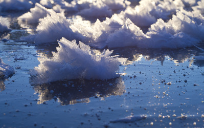 Similar image 1116101