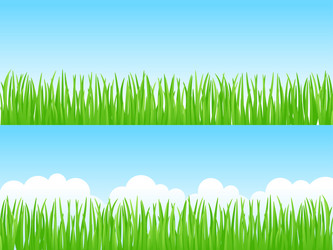 Similar image 1116106