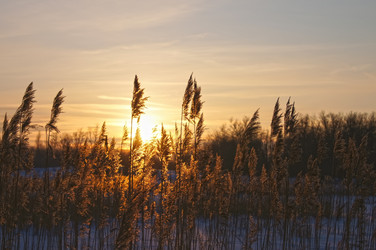 Similar image 1116121