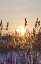 Similar image 1116122