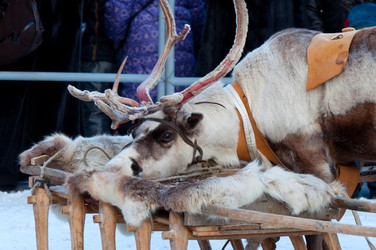 Similar image 1116145