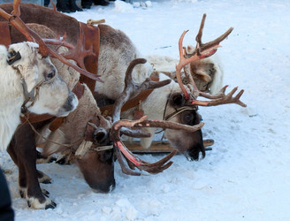 Similar image 1116163