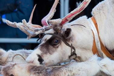 Similar image 1116164